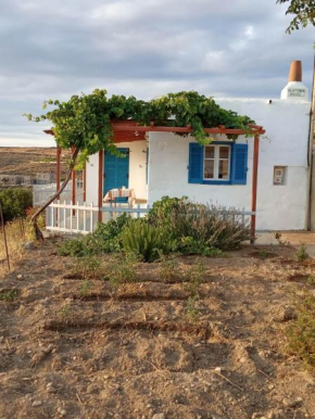 Alatsaria House